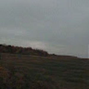 Meet your Posher, Sharlie